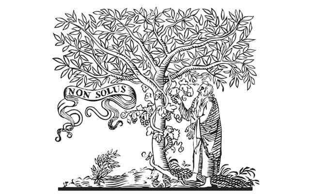 Elzevir Textus Receptus Bibles